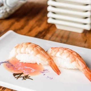 Shrimp •